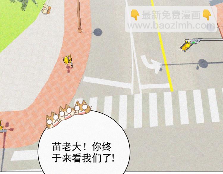 第33话 我的情敌是只猫？(1/2)-第34话