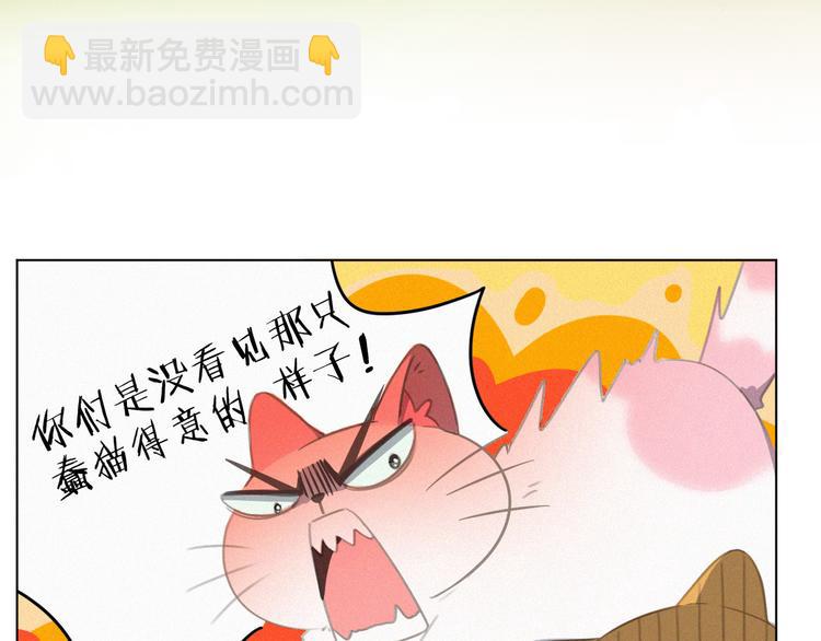 第35话 相依为命(1/2)-第36话