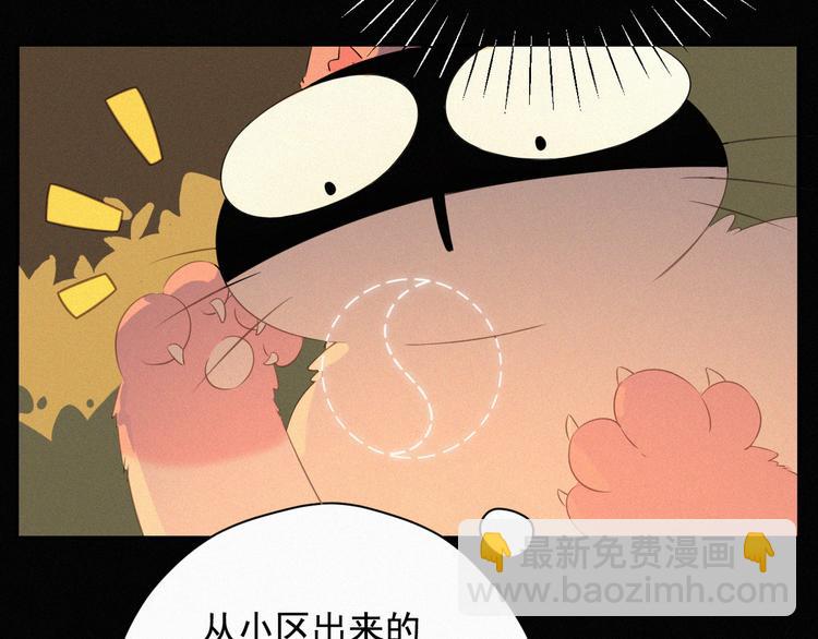 第35话 相依为命(1/2)-第36话