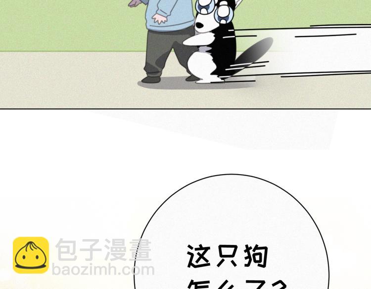 番外 哈士奇的寻主之路(1/2)-第42话