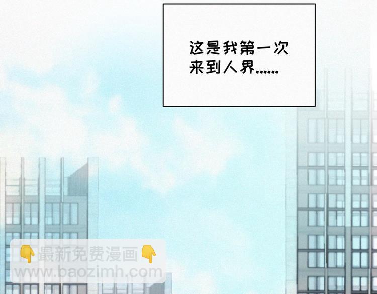 番外 哈士奇的寻主之路(1/2)-第42话