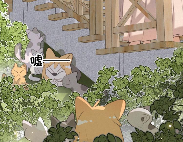 第29话 不开窍哇！(1/2)-第72话