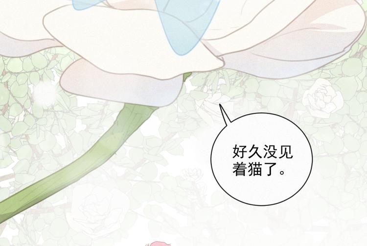 第44话 等我！⚡️⚡️⚡️(1/3)-第88话