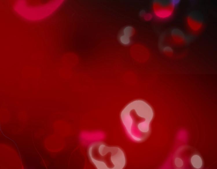 第1话 小心你的梦！(1/4)-第2话