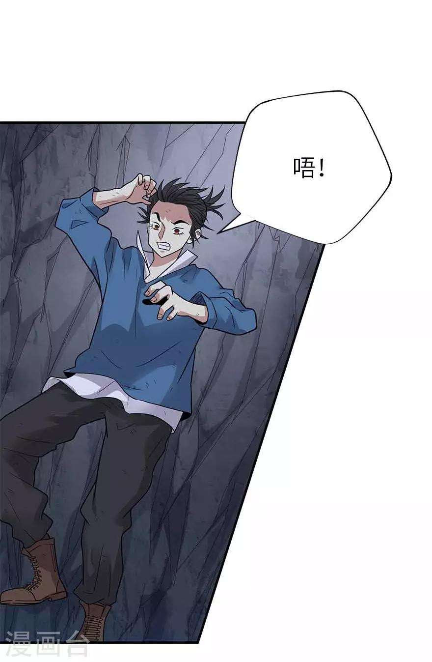 第117话 天上掉下个魏胖子(1/2)-第142话