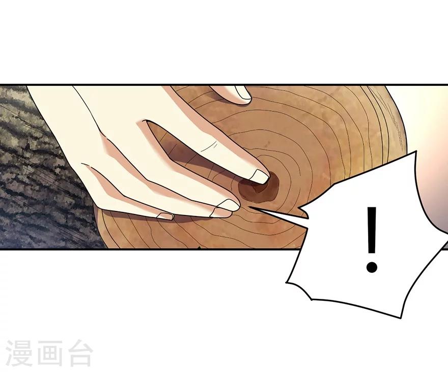 第47话 赌树1(1/2)-第54话