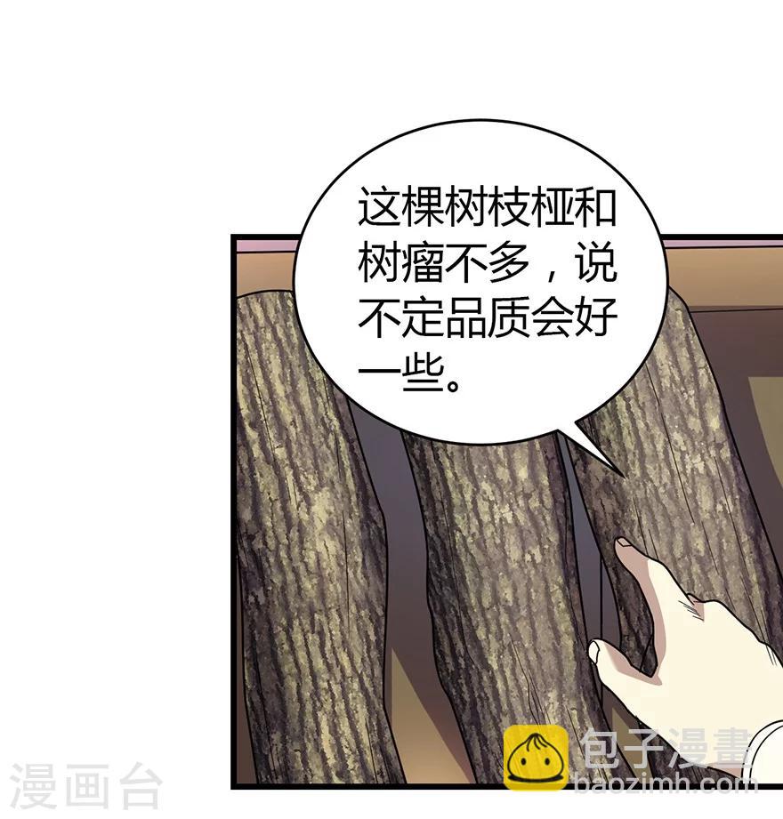 第47话 赌树1(1/2)-第54话