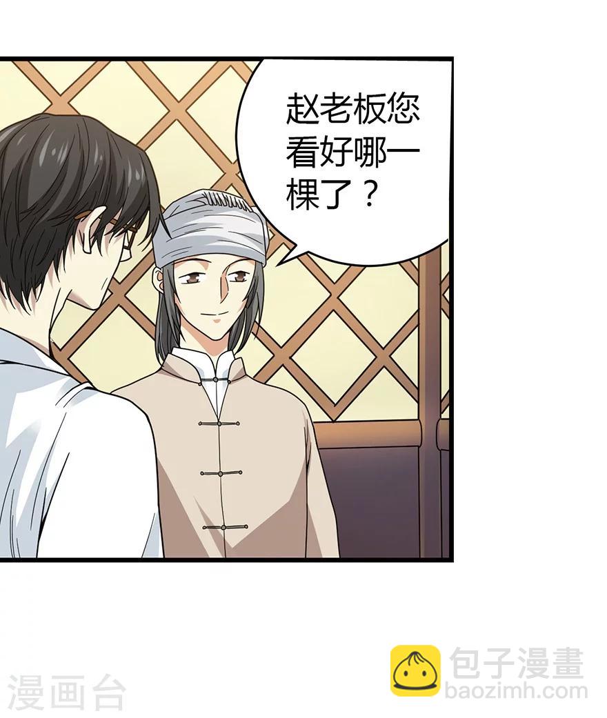 第47话 赌树1(1/2)-第54话