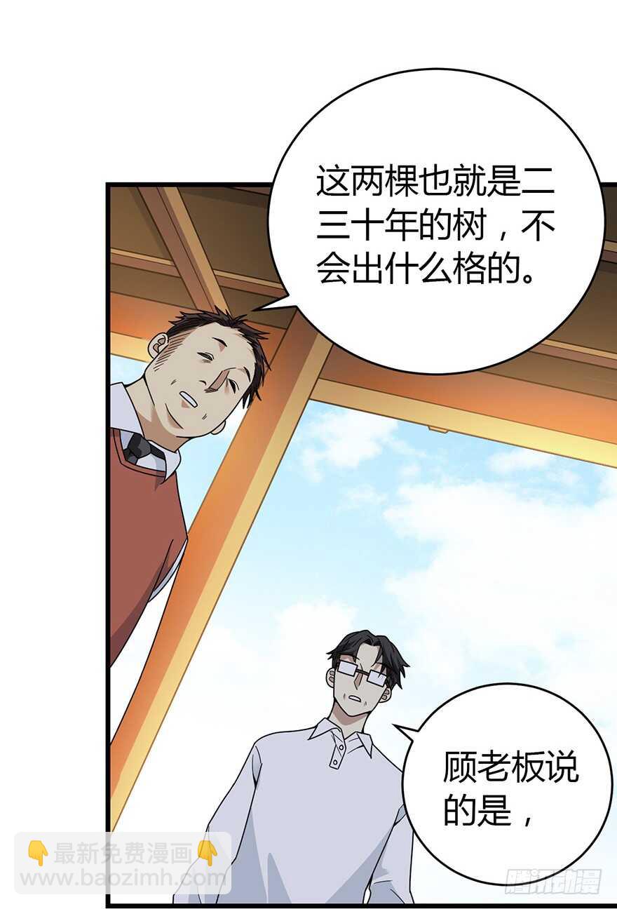 48 赌树（下）(1/2)-第50话