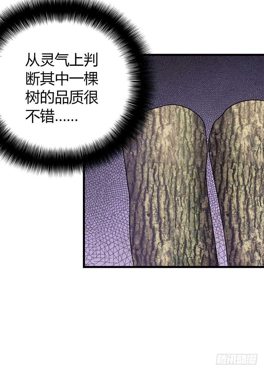 48 赌树（下）(1/2)-第50话