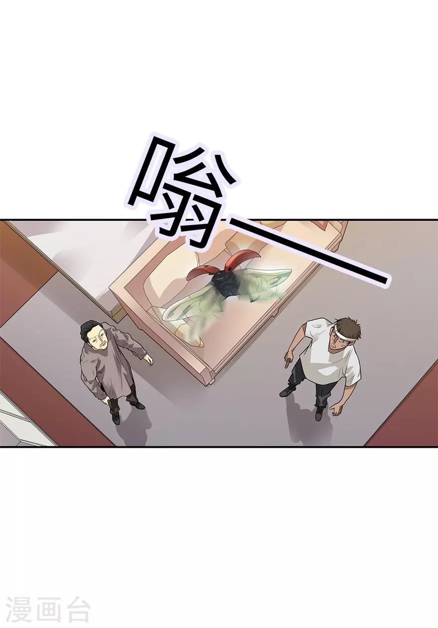 第97话 金蚕蛊-第120话