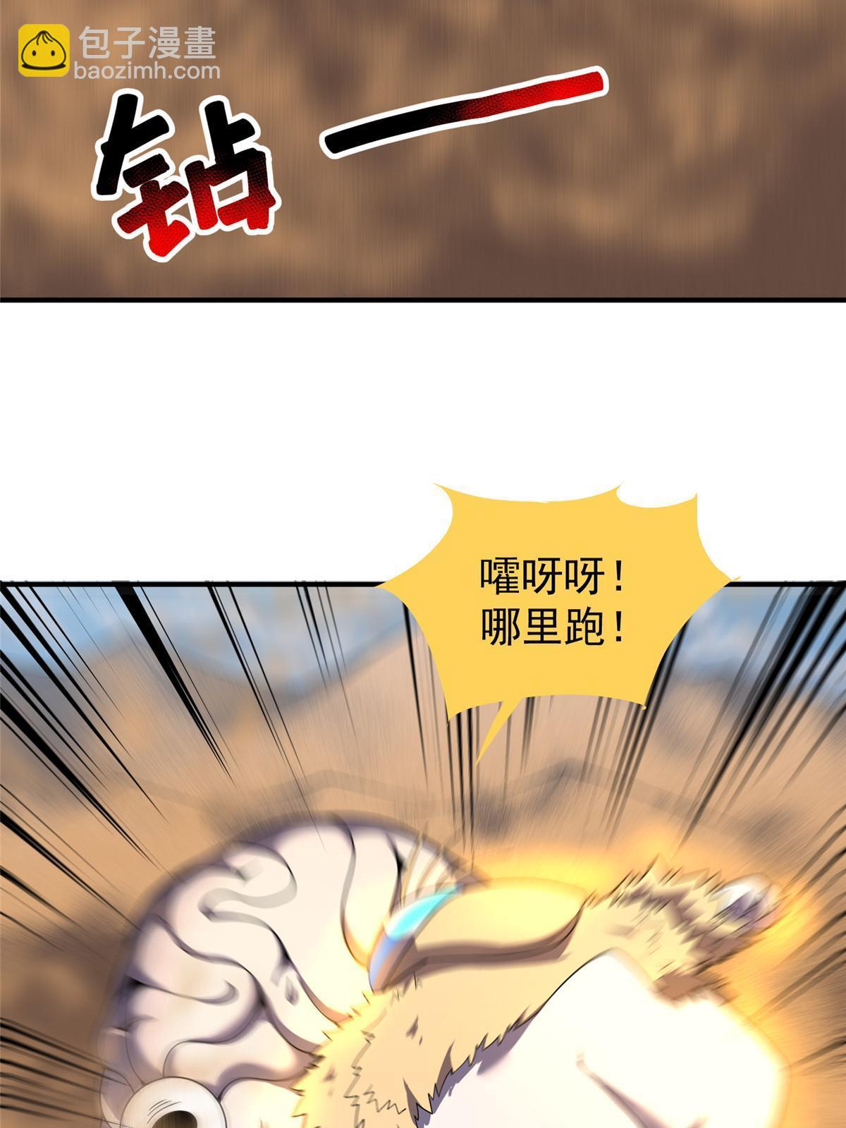 19.jpg