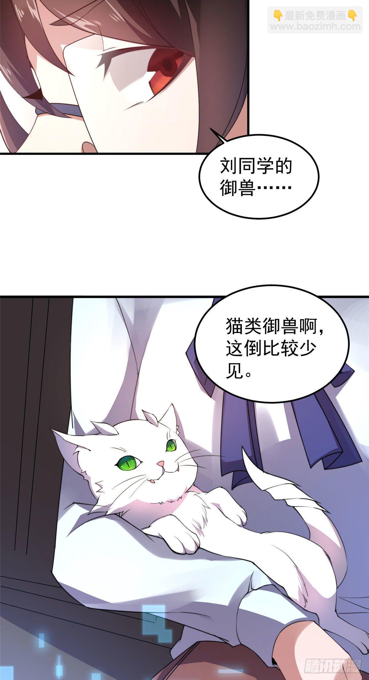 神宠进化 - 023 薄荷猫 - 5