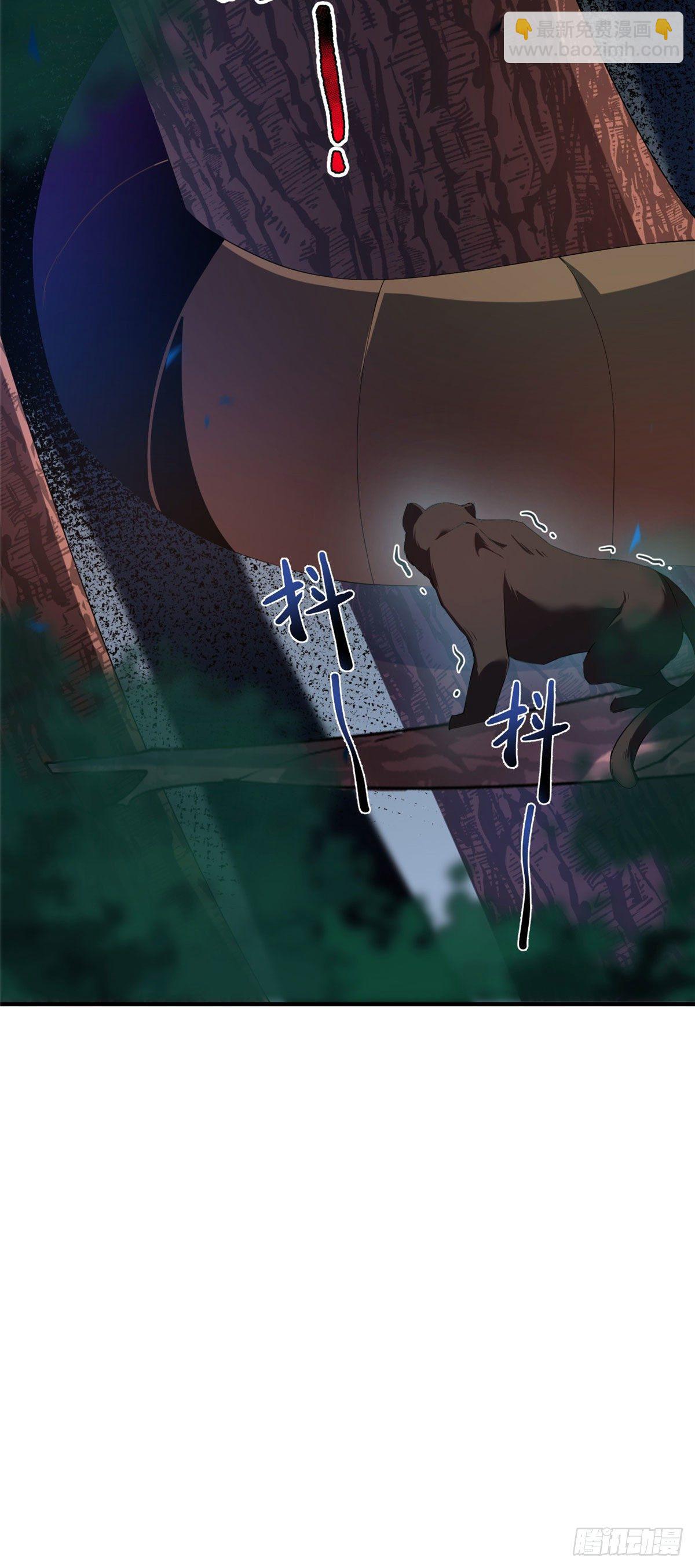31.jpg
