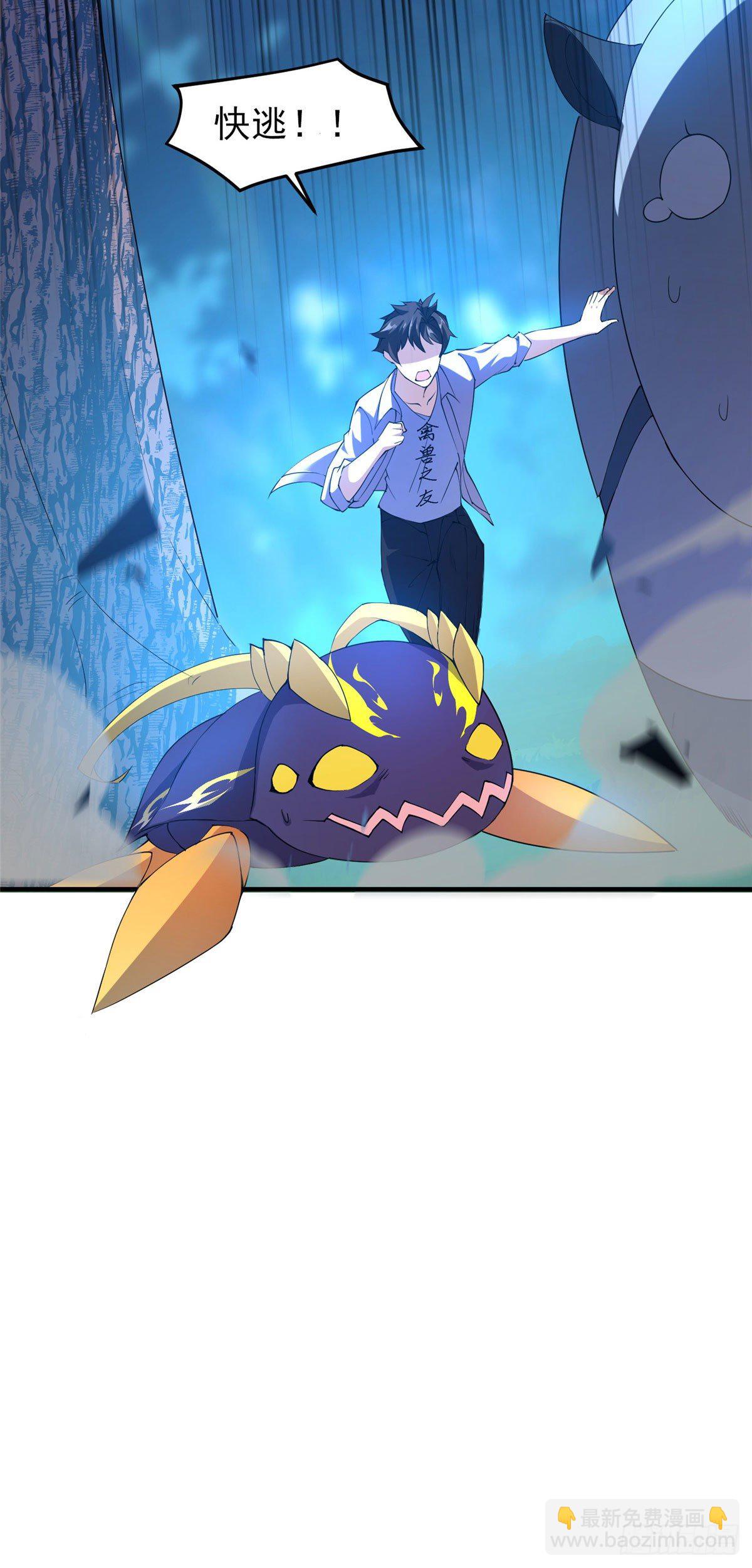 35.jpg