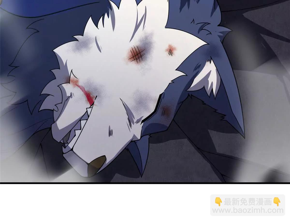 神寵進化 - 373 位面紛爭(3/3) - 1