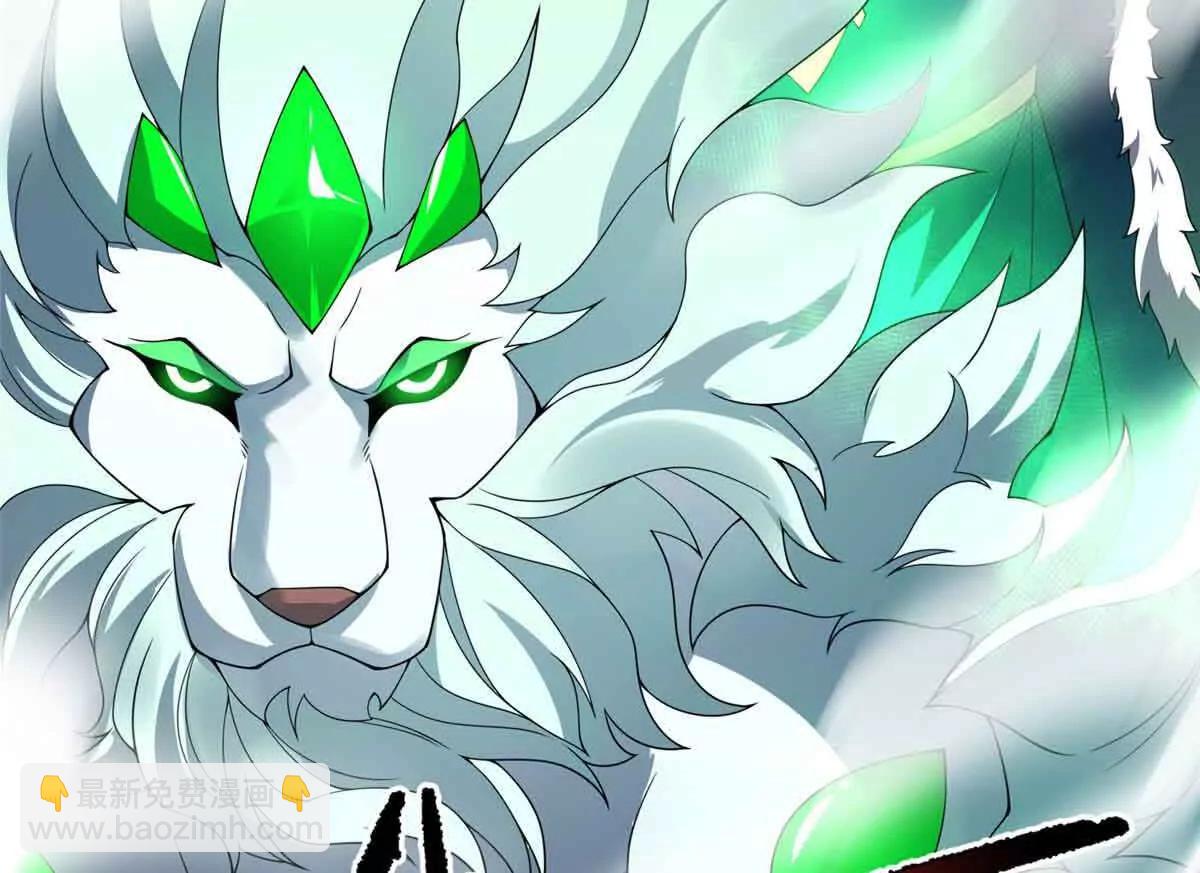 神寵進化 - 381 你們對我有誤解(1/3) - 4