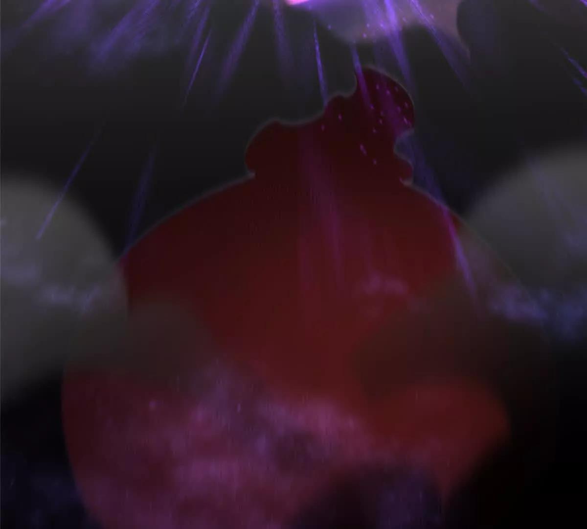 神寵進化 - 407 改變世界(2/3) - 6