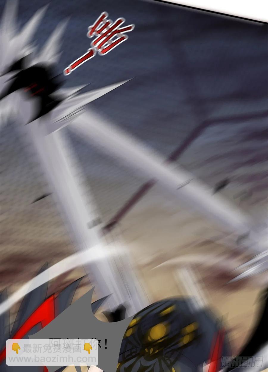 41.jpg