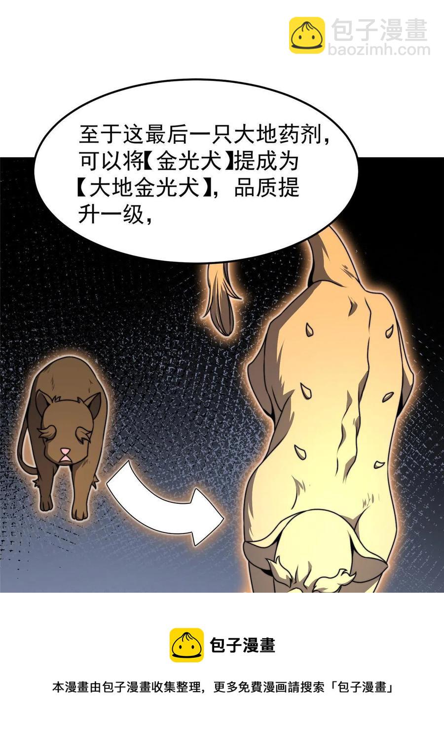 17.jpg