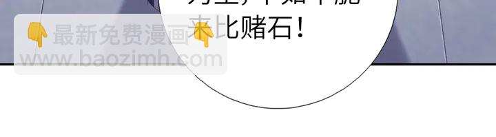 神廚狂後 - 第232話 賭石(2/2) - 5