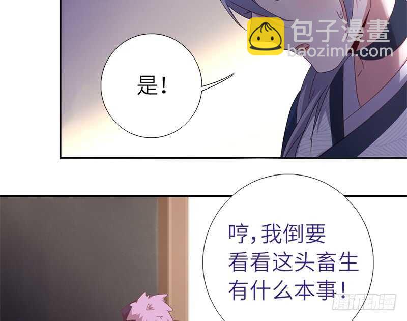 神廚狂後 - 第33話 抓豬小能手(1/2) - 2