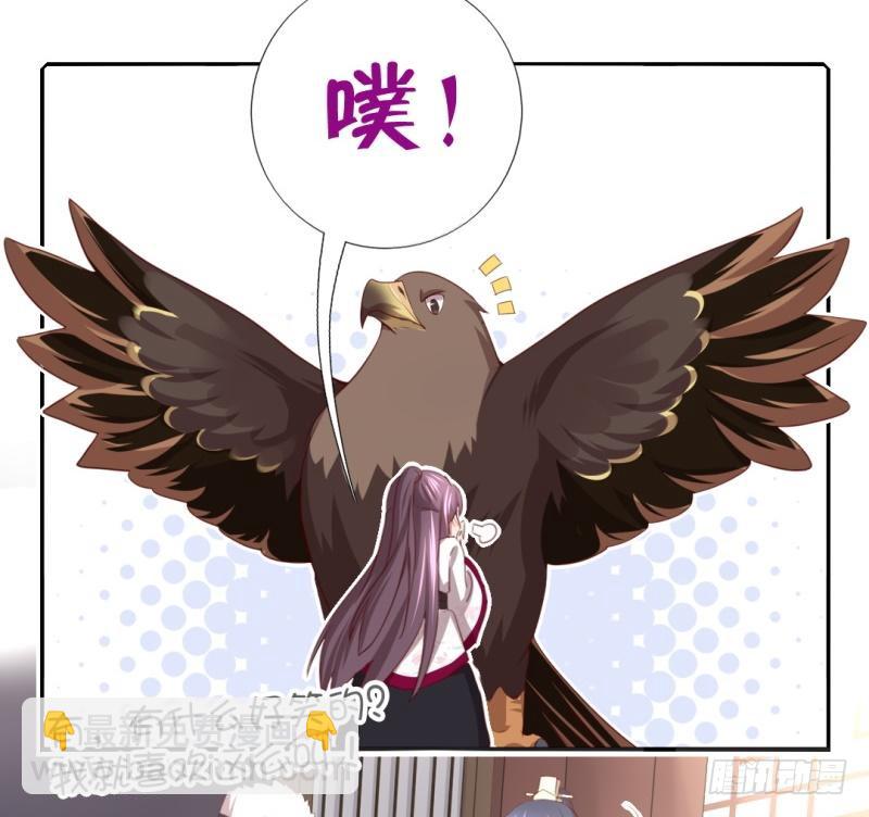 神廚狂後 - 第83話 熊六十六 - 3