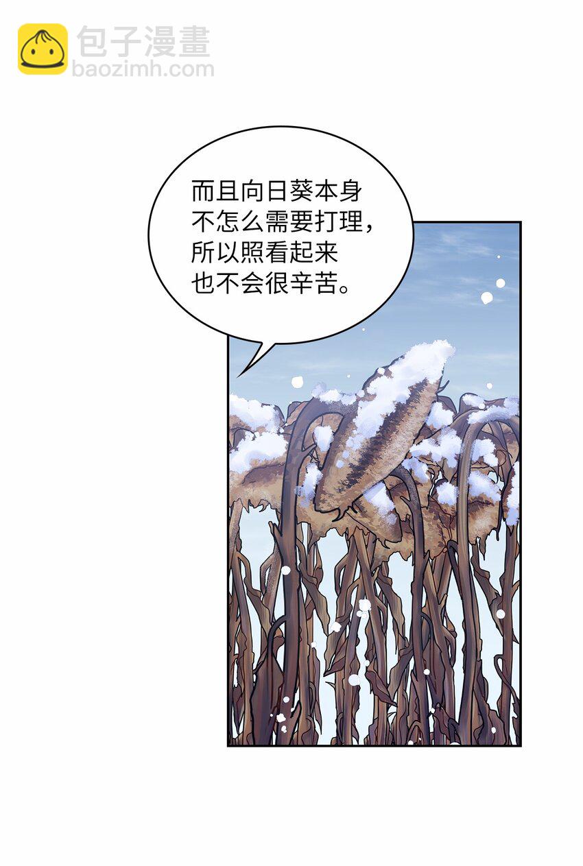 42 金灿灿的向日葵(1/2)-第44话