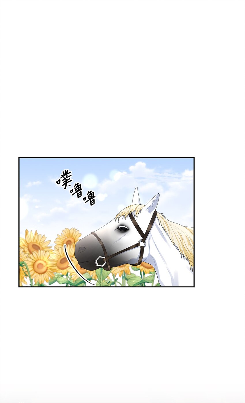 48 久别重逢(1/2)-第50话