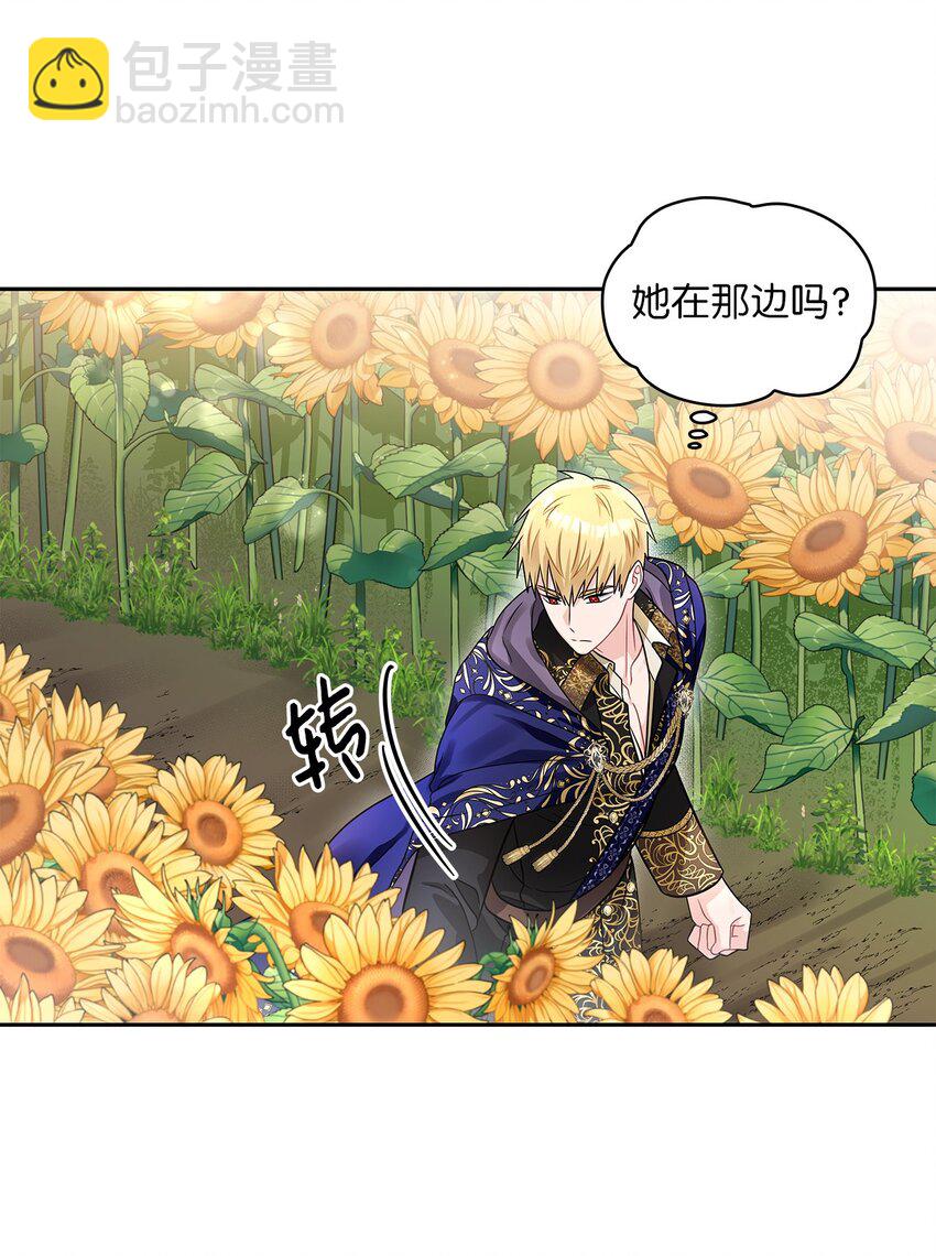 48 久别重逢(1/2)-第50话