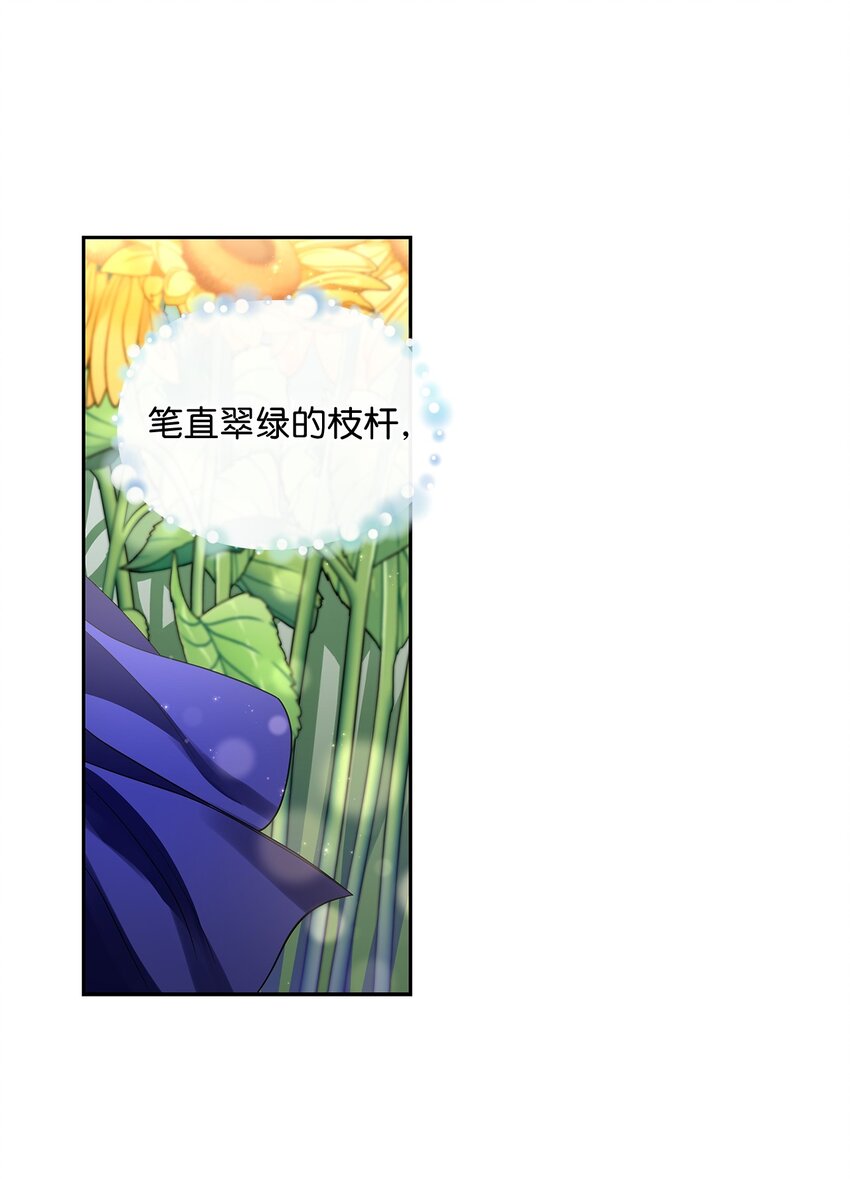 48 久别重逢(1/2)-第50话