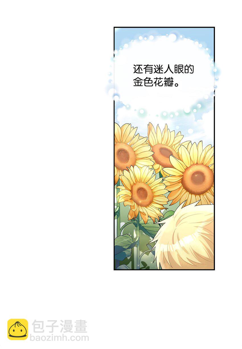 48 久别重逢(1/2)-第50话