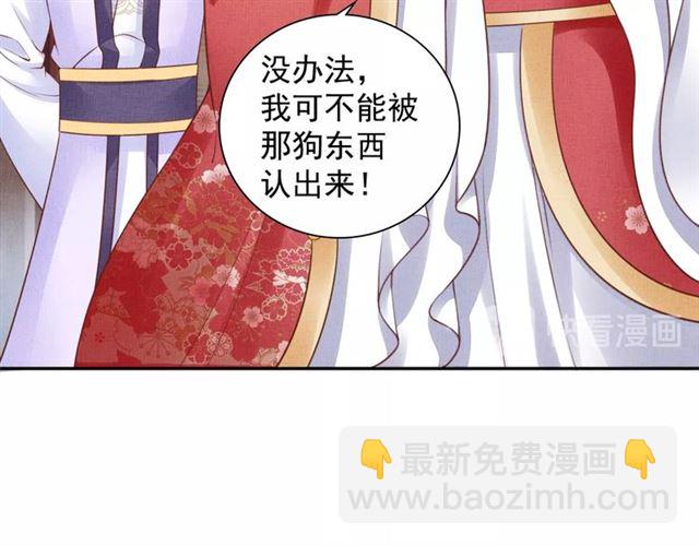 第78话 乔装探访(1/3)-第80话