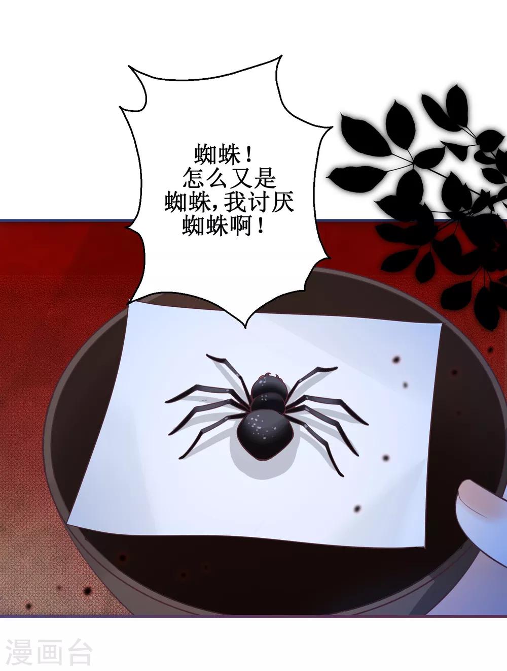 盛寵陰陽妃 - 第69話 蜘蛛，又是蜘蛛 - 6