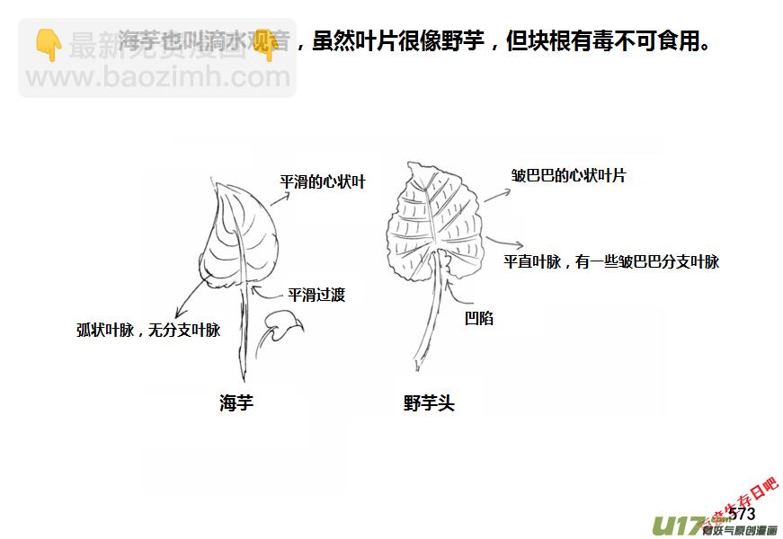 生存日 - （第十一季）32 挖野芋（下） - 4