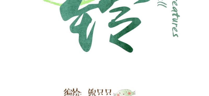 第十五话 旎妹（下）(1/3)-第16话