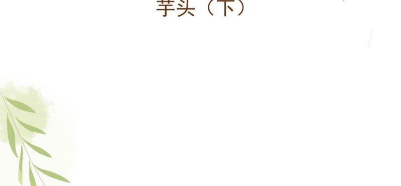 第三话 芋头（下）(1/3)-第4话