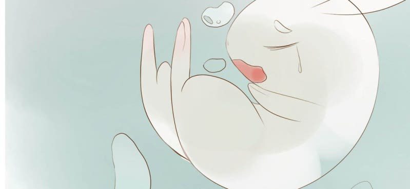 第七话 （下）兔子(1/3)-第8话