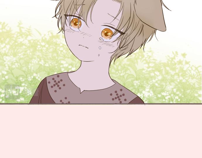 第40话 最爱的人(1/3)-第42话