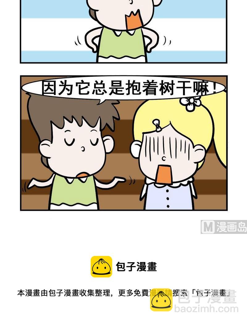 生日 - 4 樹袋熊 - 1