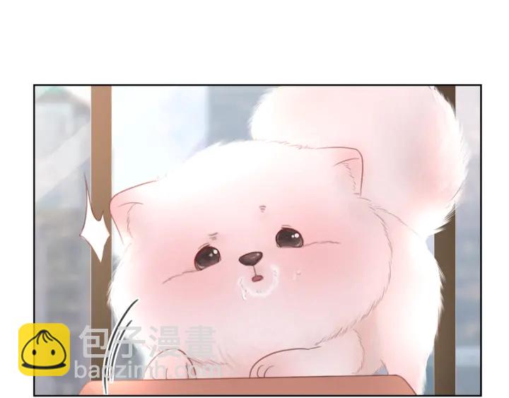 第20话 带着&ldquo;儿子&rdquo;上节目(1/3)-第22话