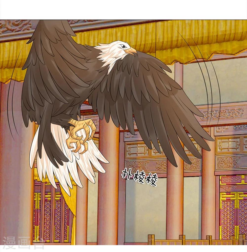 第65话 雄鹰展翅-第58话