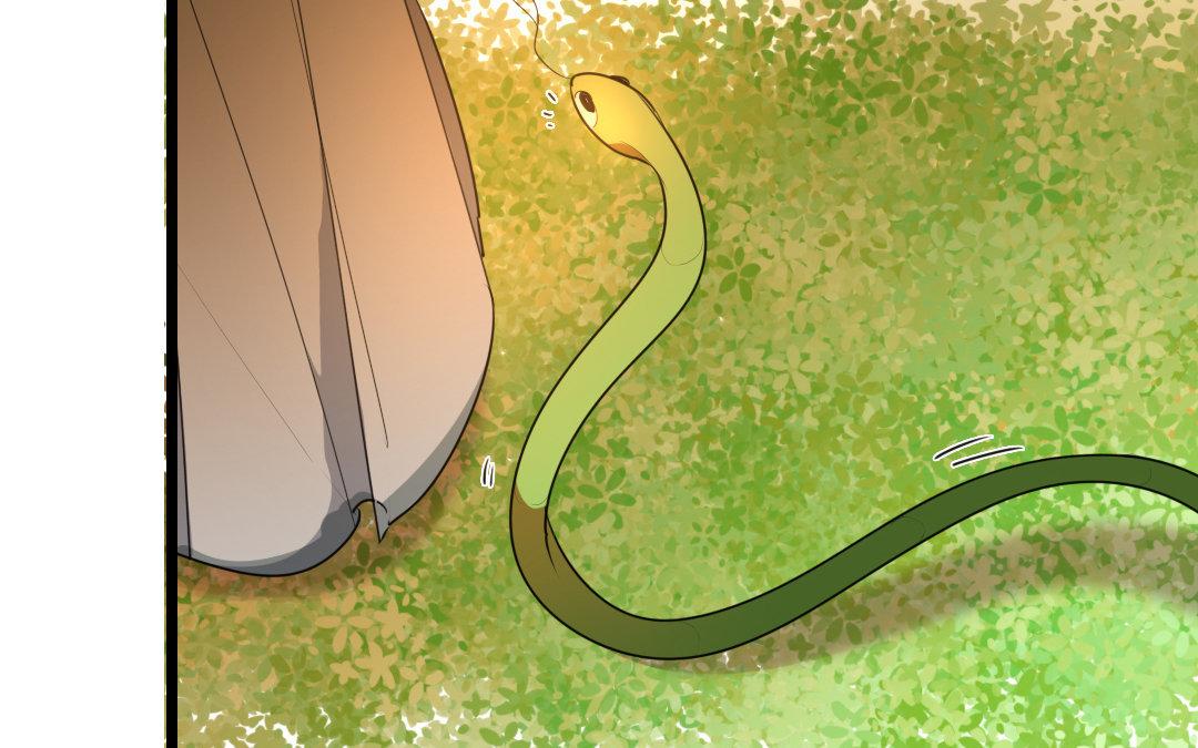 98.第97话 双生圣女.(1/2)-第98话