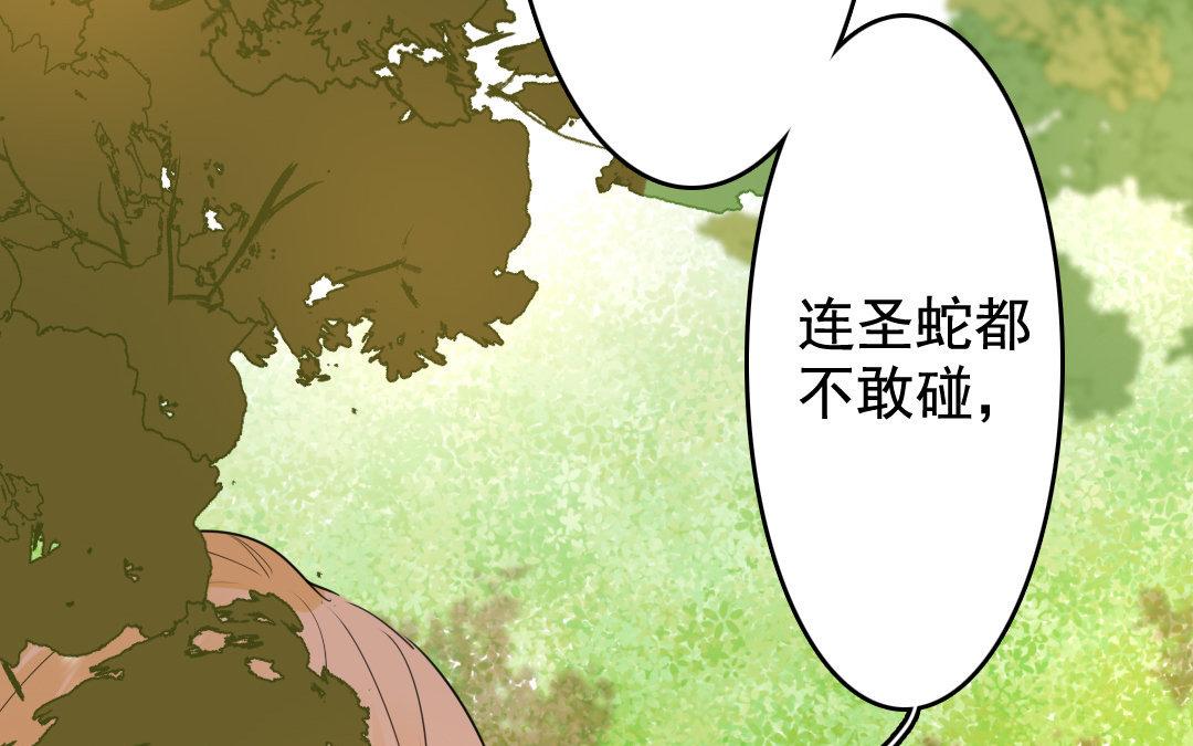 98.第97话 双生圣女.(1/2)-第98话