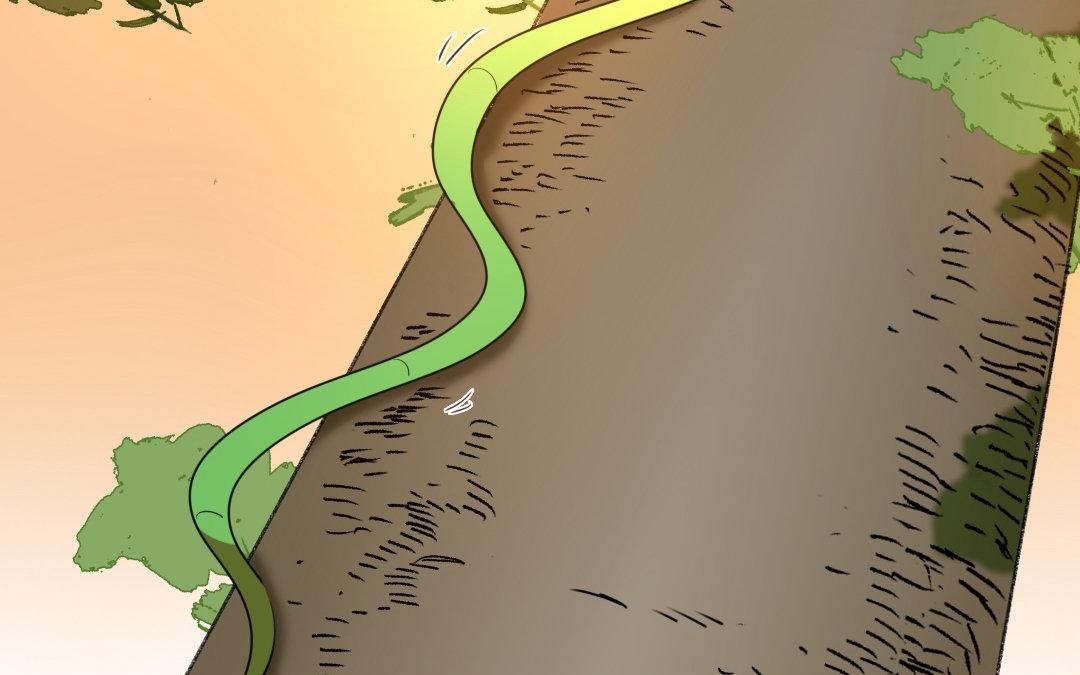 98.第97话 双生圣女.(1/2)-第98话