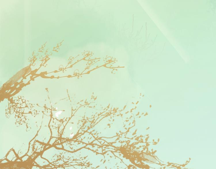 第3话 一生一世一心人(1/3)-第4话