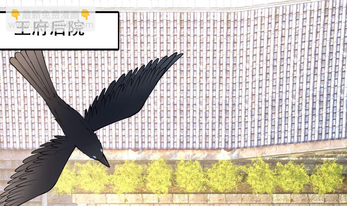 第6话 机会来了(1/2)-第6话