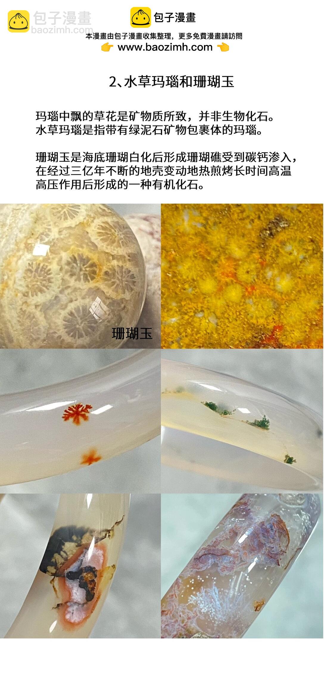 宝石科普 （专题四）-第42话