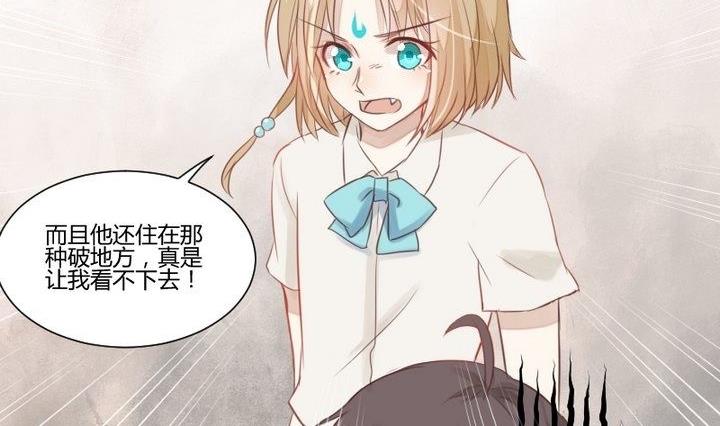 第29话 心疼肉丸！(1/2)-第16话