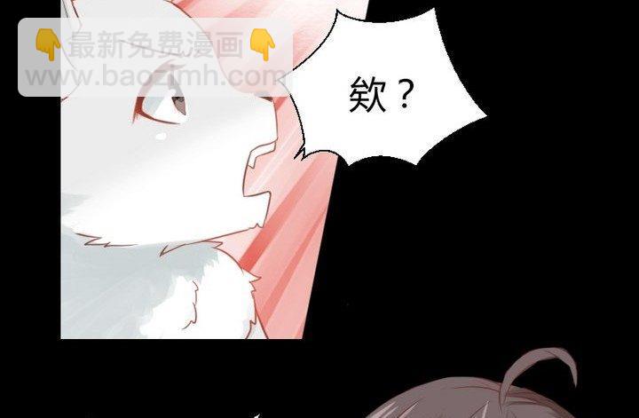 第29话 心疼肉丸！(1/2)-第16话